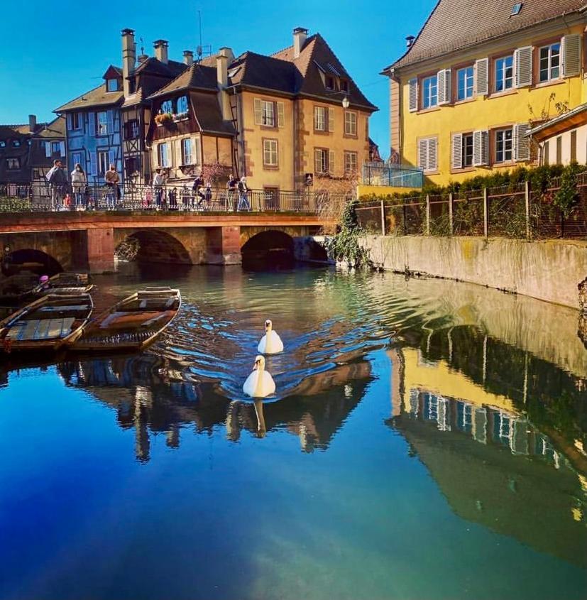 Maison 1708 - Rue Du Canard - City Center Colmar Dış mekan fotoğraf