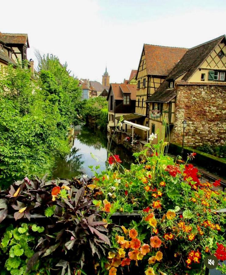 Maison 1708 - Rue Du Canard - City Center Colmar Dış mekan fotoğraf